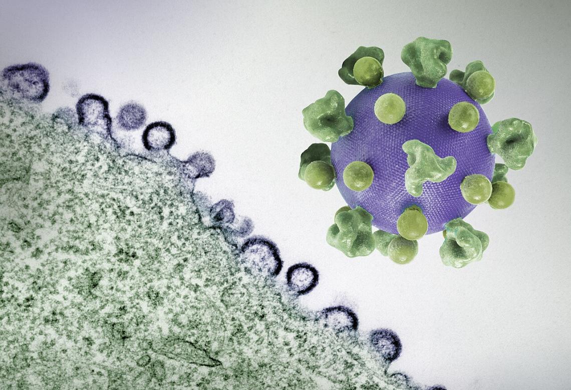 HIV Virus